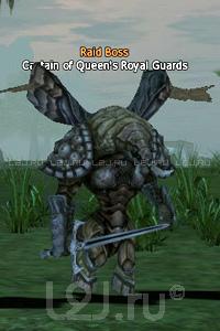 Queen's Royal Guard Captain